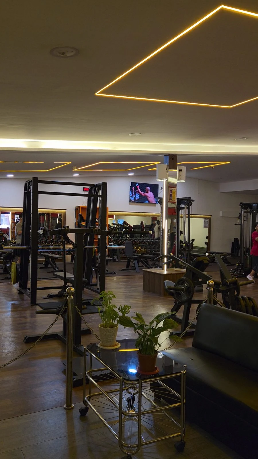 Free weights area with dumbbell racks